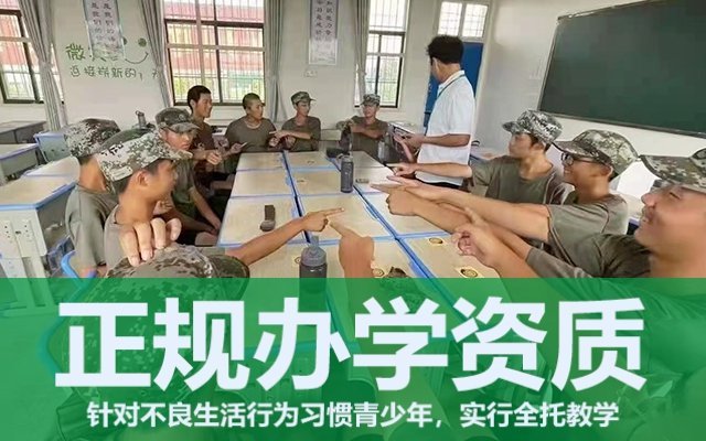 问题叛逆少年教育学校(叛逆少年素质教育)