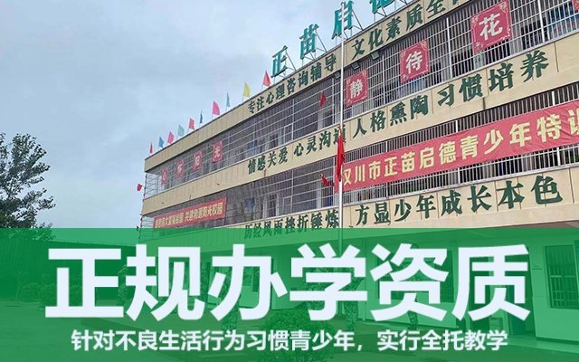 问题叛逆少年教育学校(少年叛逆管教学校)